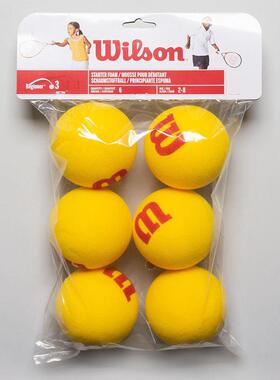 代购Wilson威尔胜网球慢弹跳技术练习初学适用USTA认证6个装