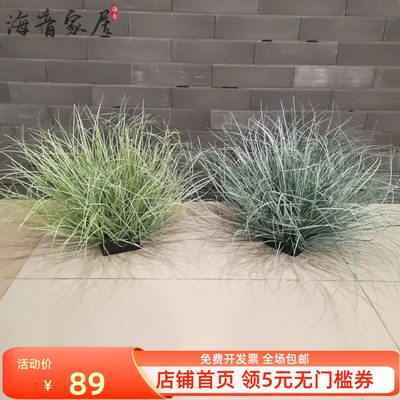 菖蒲草室内室外仿真绿植线条小草