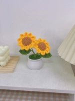 Двойной заголовок подсолнечник маленький горшечный готовый продукт