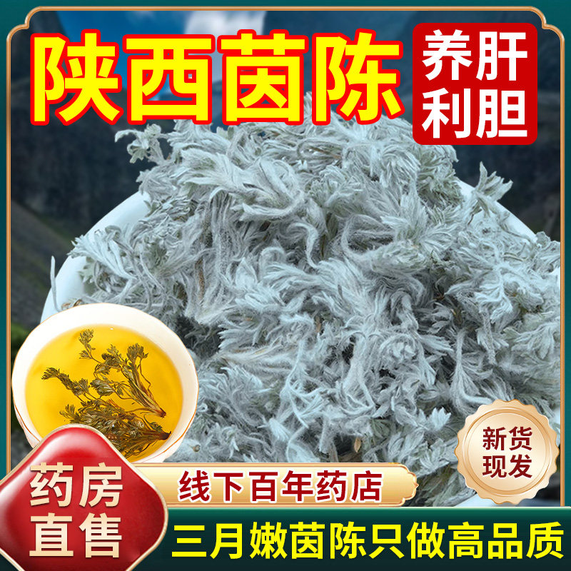 正宗陕西茵陈中药材250g正品官方旗舰店三月嫩新鲜棉茵陈茶泡水Y