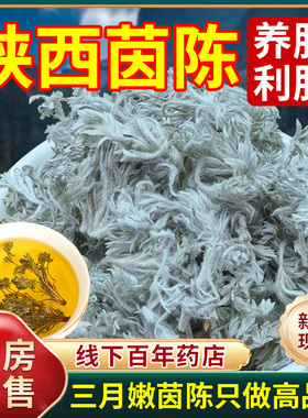 正宗陕西茵陈中药材250g正品官方旗舰店三月嫩新鲜棉茵陈茶泡水Y