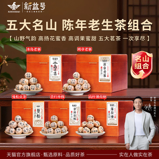 冰岛普洱茶生茶新益号云南老寨古树老班章生普龙珠小沱茶叶礼盒装