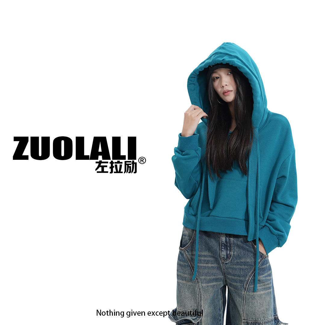 ZUOLALI/左拉励【西海岸】2025新潮牌短款阔版设计-套头卫衣外套
