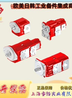 AP312HP/40 BUCHER 外啮合齿轮泵