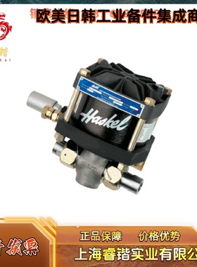 DSTV-60 HASKEL 哈斯克尔 空气驱动液体泵