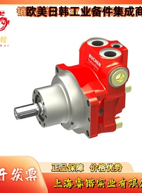 QXM42-020R-HS-NSKRG1PA  BUCHER 内啮合齿轮马达