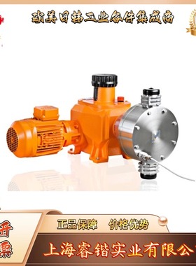 313035 *   ProMinent  Makro TZ 柱塞计量泵