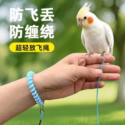 鹦鹉放飞绳不伤脚超轻训练绳虎皮玄凤牡丹脚环脚链脖套遛鸟飞行绳