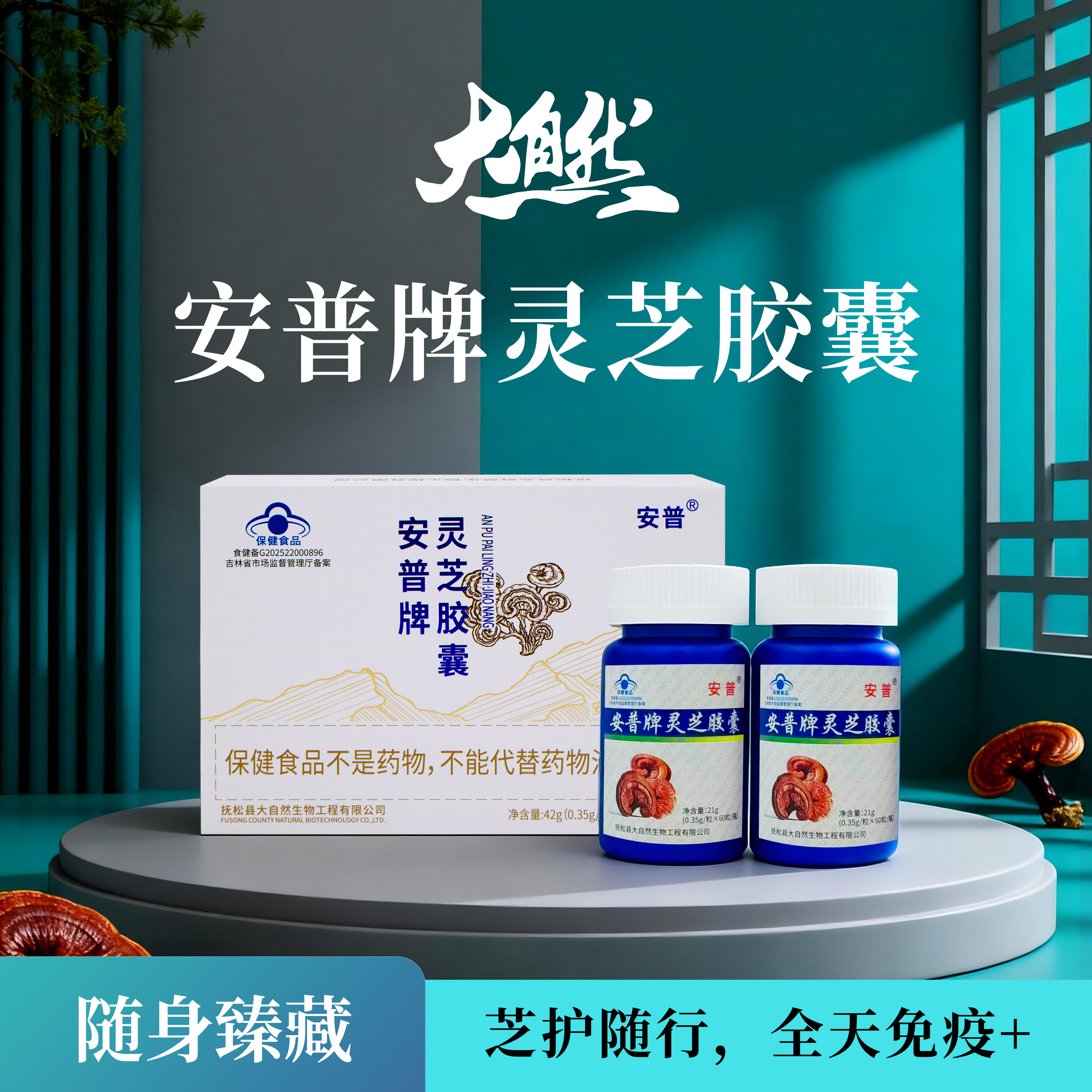 安普牌灵芝胶囊灵芝/参类/石斛提取
