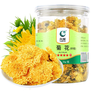 25g 向辉菊花 怀菊