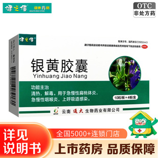 健之佳银黄胶囊40粒清热解毒急慢性咽喉炎扁桃体发炎上呼吸道感染