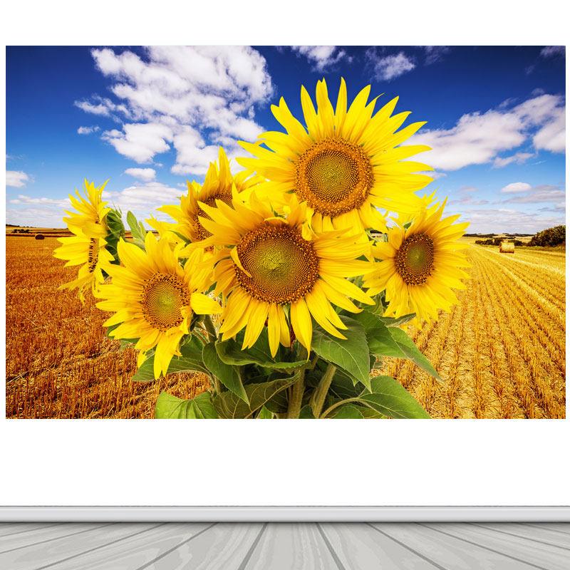 向日葵田园风景装饰画蓝天白云太阳花大自然山水壁画客厅背景墙画