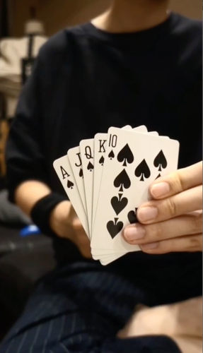 闪变杂牌顺子程序员范儿魔术道具