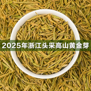 【溪亭茶记】2026年新茶明前黄金芽茶叶高山开园头采绿茶浓豆香型