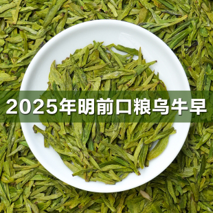 【溪亭茶记】2025新茶乌牛早明前龙井工艺扁茶板栗香绿茶口粮自喝