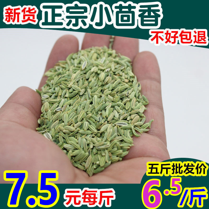 今年新货产新小茴香籽手选精选茴子500g250克包邮调香料卤料