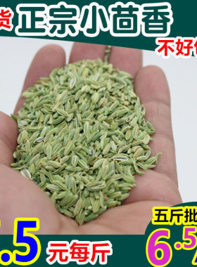 净重500g甘肃小茴香新货包邮批发