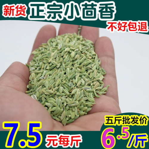 净重500g甘肃小茴香新货包邮批发