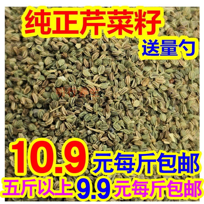 天然纯真芹菜籽芹菜子免费泡茶