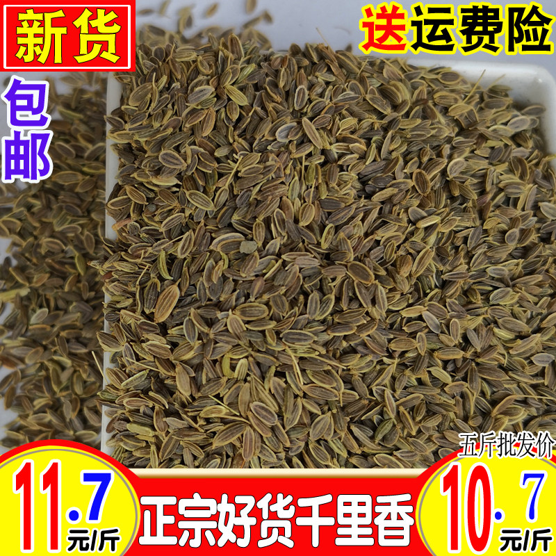 新货千里香颗粒十里香七里香万里非莳萝籽卤料香料500克250g包邮