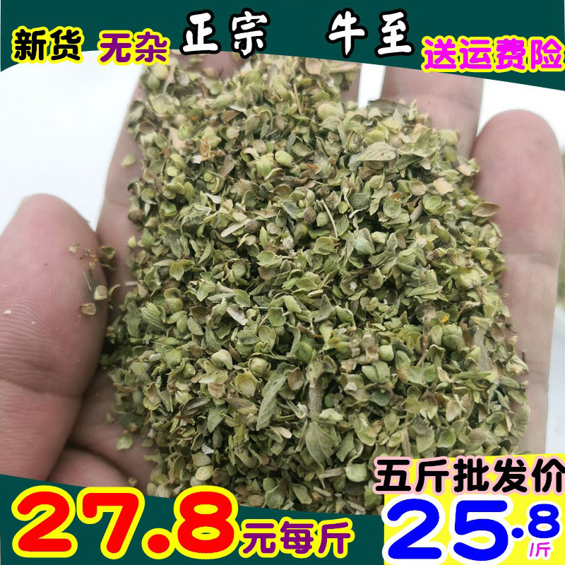 纯真牛至250g500克marjo西餐调香料墨角兰叶碎马玉郁兰草祖林