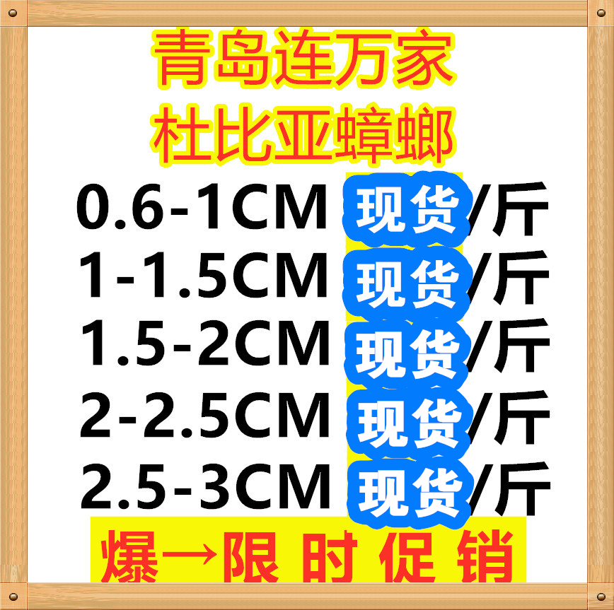 杜比亚蟑螂活体鸟类观赏鱼