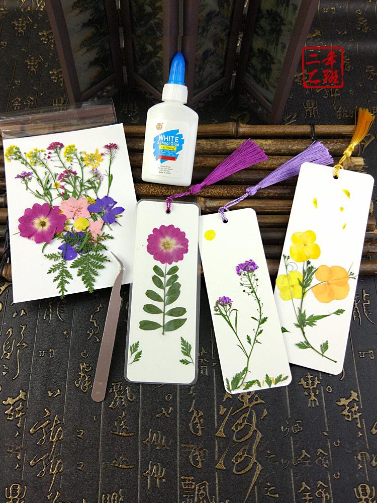 干花书签diy材料包手工自制植物书签纸质透明幼儿园压花标本清新
