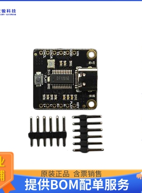 DFR0768【DFROBOT DFPLAYER PRO - A MP3 PLA】扩展板、子卡