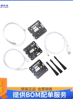 RC1880-RIIOT-DK【DEVELOPMENT KIT FOR RIIOT MODULE】射频评估