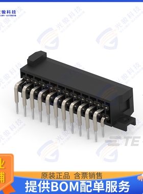 828801-7 连接器2X11P MESSERLEI 3,0