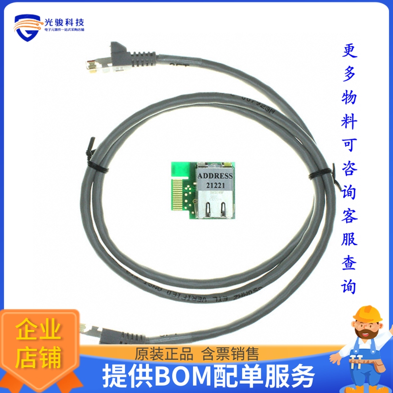 AC164123【BOARD DAUGHTER ETH PICTAIL PLUS】评估和演示板套件