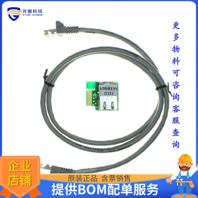 AC164123【BOARD DAUGHTER ETH PICTAIL PLUS】评估和演示板套件