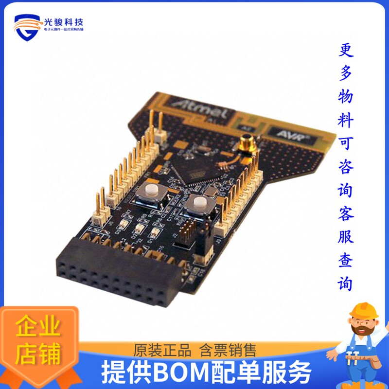 ATRCB256RFR2-XPRO【XPLAINED PRO EXT RCB256RFR2】射频评估板