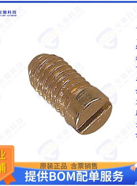 9300009997连接器 KLEMMSCHRAUBE 100 PCCK./BEUTEL