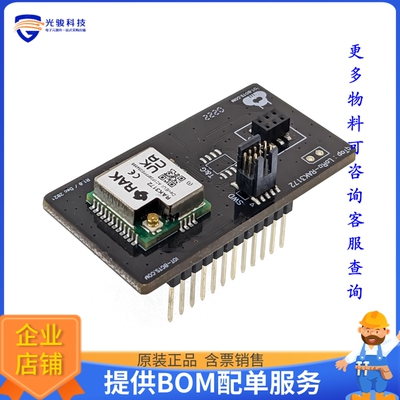 IBT-QTL-AFC-RAK3172【qTop Adafruit Feather Compatible】射频