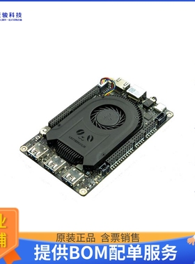 DFR0981【LATTEPANDA DELTA 864 NOWIN10 KEY】嵌入式MCU、DSP评