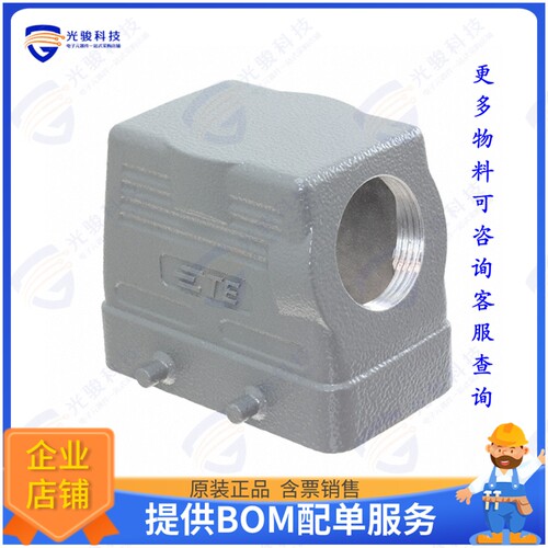 T1210100121-000连接器 H10B-TS-PG21