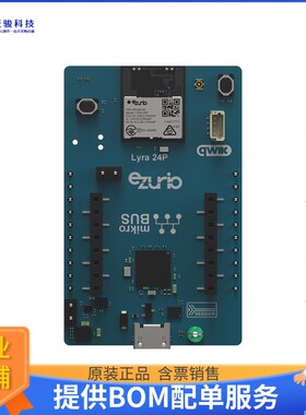 453-00142-K1[EVAL BOARD FOR LYRA 24P]评估板