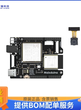 102991184【SIPEED MAIXDUINO FOR RISC-V AI +】嵌入式MCU、DSP
