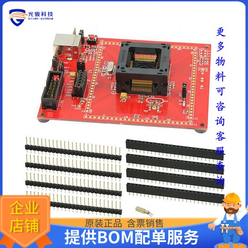 MSP-TS430PZ100AUSB【TARGET BOARD ZIF SKT MSP430】可编程适配