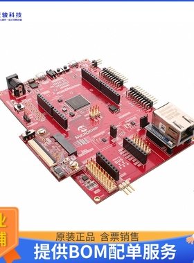 DM320210【SAME54 CURIOSITY ULTRA EVALUATIO】嵌入式MCU、DSP