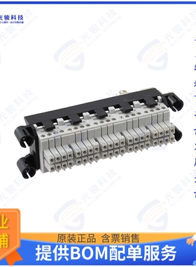 1607274连接器 CONN FRAME INSERT 39+GND