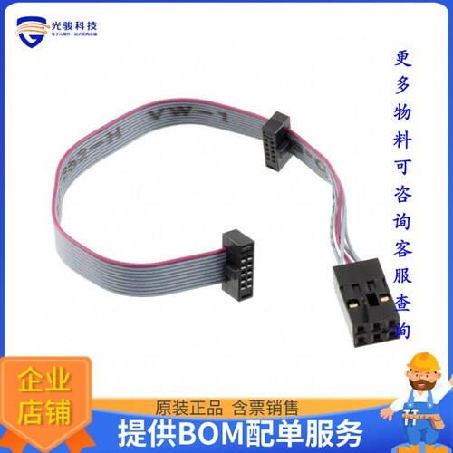 ATATMEL-ICE-CABLE[CABLE SAM ICE]评估板配件