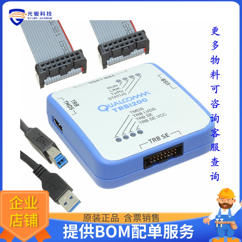 DK-TRBI200-CE684-1【TRBI200 HIGH SPEED DEBUG DEV KIT】编程