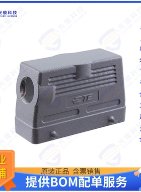 T1230240121-000连接器 H24B-TSH-PG21