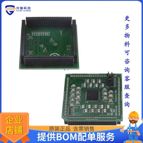 MA330019-2【DAUGHTER BOARD DSPIC33F】开发板、编程器配件