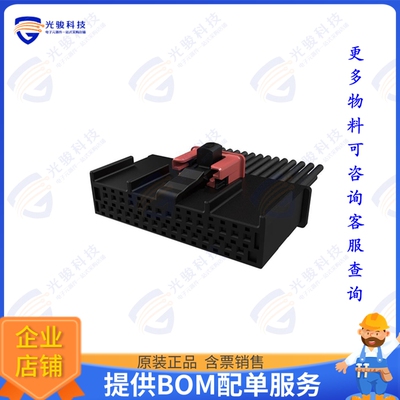 10159549-130KBLF 连接器WIRELOCK 30PIN B REC-10159549-13