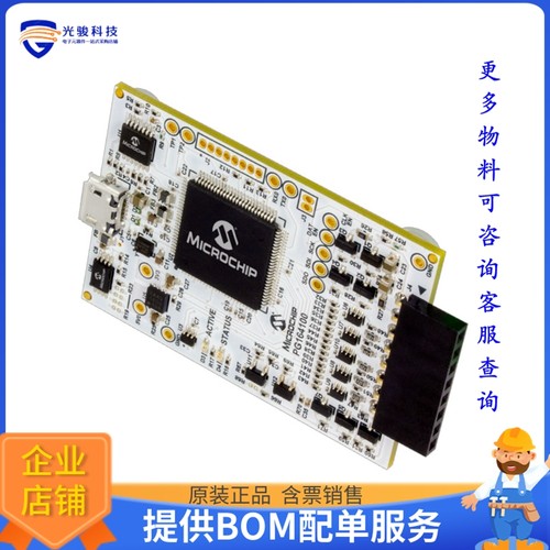 PG164100【MPLAB SNAP DEBUGGER】编程器、仿真器、调试器