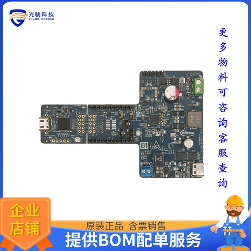 EVALPMG1B1DRPTOBO1[EVAL BOARD FOR PMG1-B1]评估板