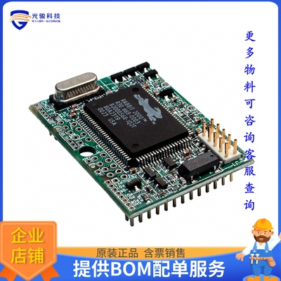 20-101-0453微控器《IC MOD RABBIT 2000 22.1MHZ 128KB》
